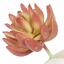 Sztuczny soczysty Echeveria 10 cm