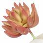 Sztuczny soczysty Echeveria 10 cm