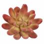 Sztuczny soczysty Echeveria 10 cm