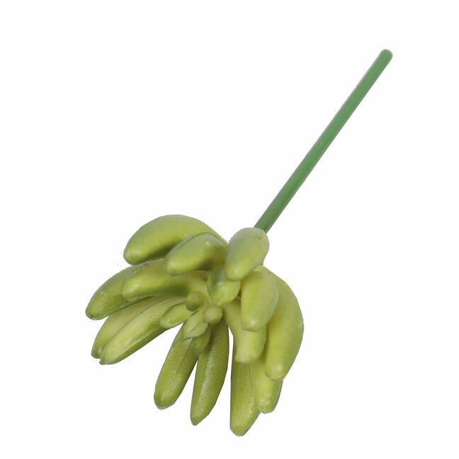 Sztuczny soczysty lotos Esheveria zielony 9 cm