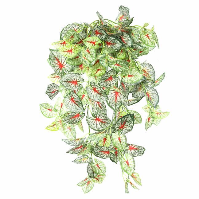 Sztuczny zwis Kaladium kolorowy 80 cm