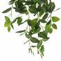 Sztuczny zwis Fitonia zielona 80 cm