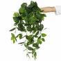Sztuczny zwis Fitonia zielona 80 cm