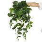 Sztuczny zwis Fitonia zielona 80 cm