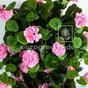 Sztuczny wąs Geranium różowy 70 cm