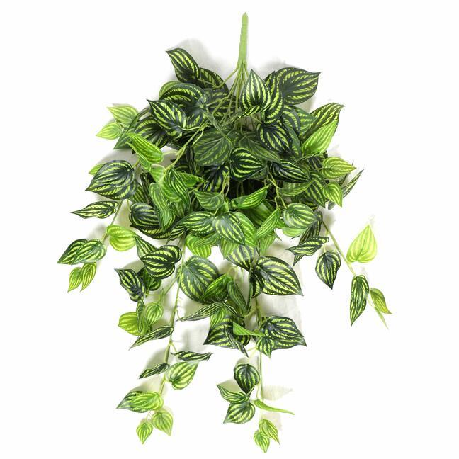 Sztuczny zwis Peperomia 80 cm