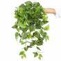 Sztuczny zwis Peperomia 80 cm