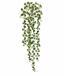 Sztuczny wąs Peperomia rotundifolia 80 cm