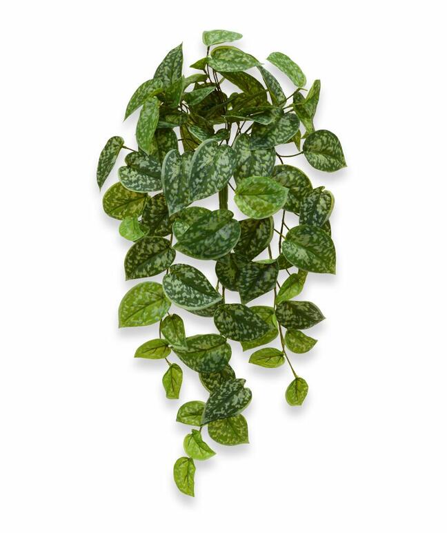 Sztuczny wąs Potosovec 60 cm