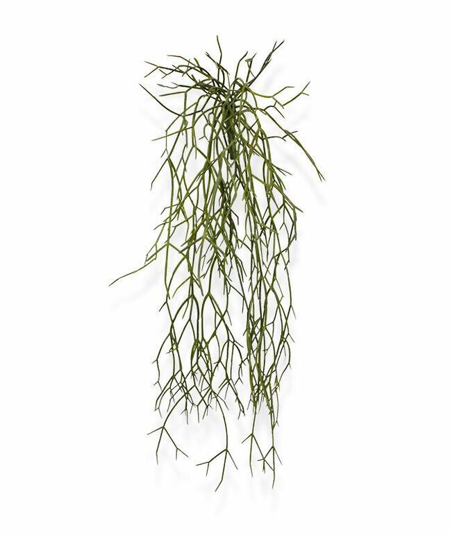 Sztuczny wąs Rhipsalis micrantha 55 cm