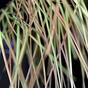 Sztuczny zielono-brązowy ryflowany wiązka trawy 80 cm